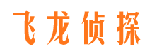 汉阳飞龙私家侦探公司